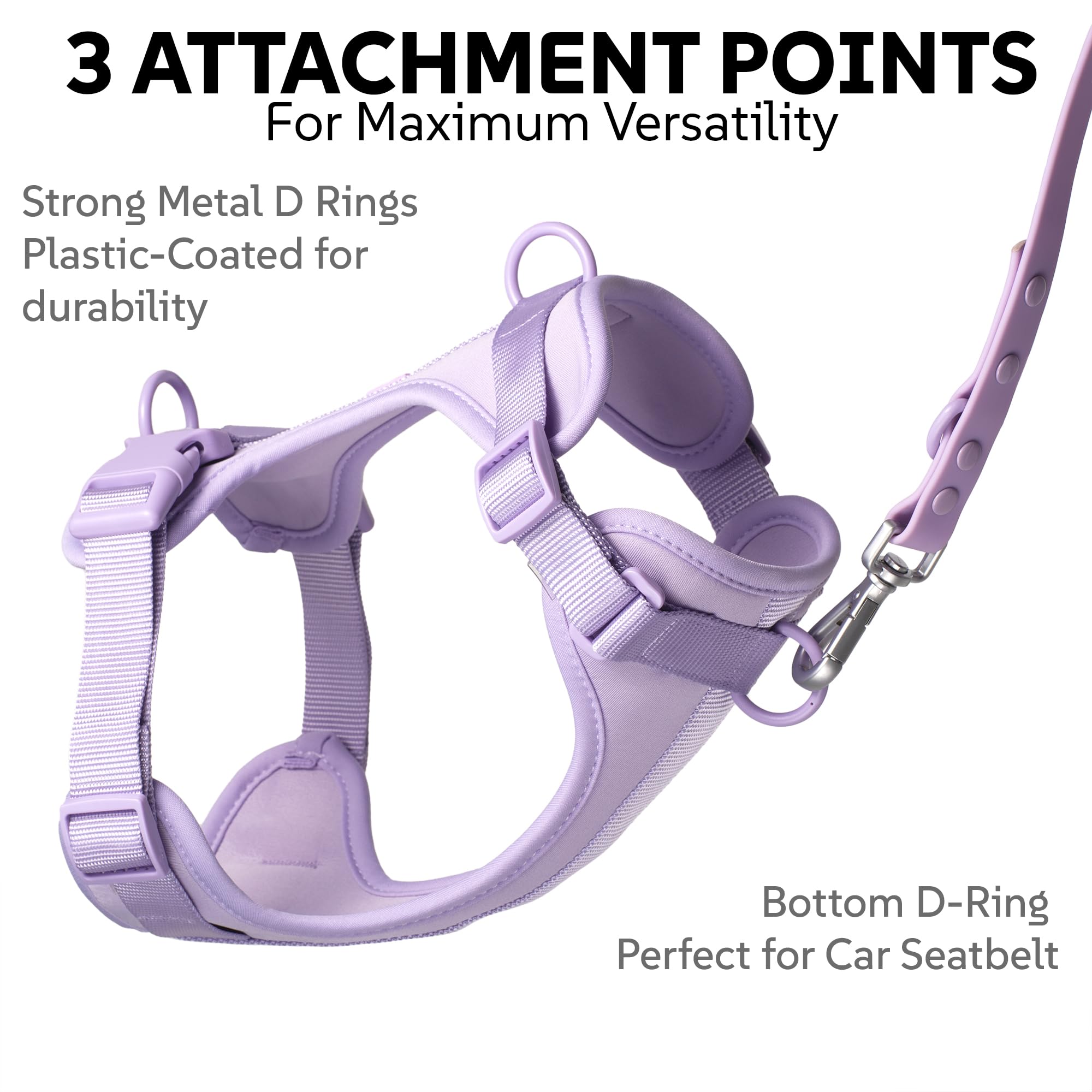Laisse Pawadise Lilas, ensemble, pratique pour promenades et entraînement.