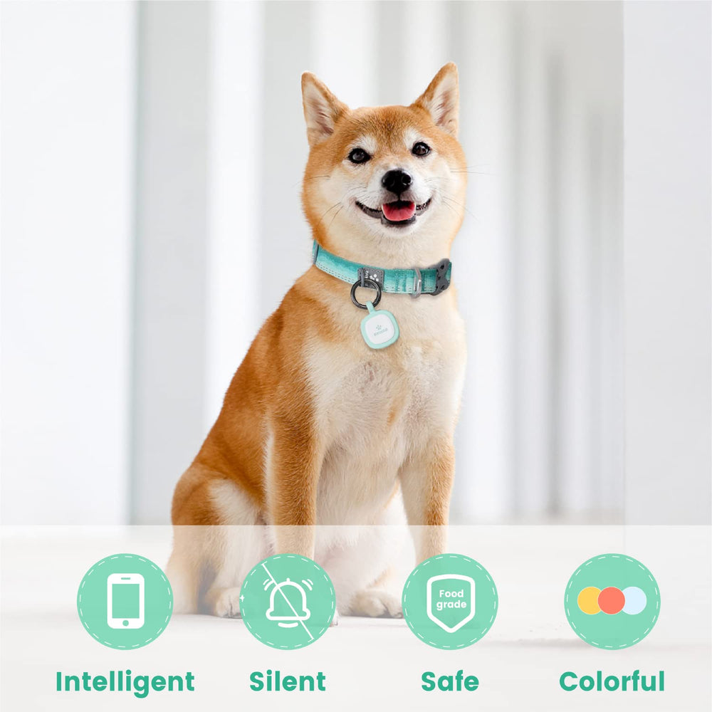 Code QR Pawaii sur l'identifiant chien, activation rapide et pratique.