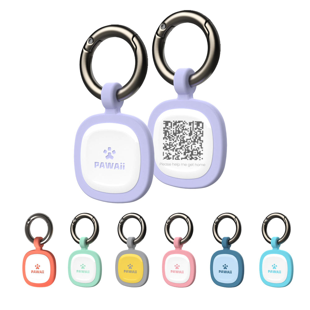 Pawaii: tag d'identification chien avec QR pour localisation rapide.