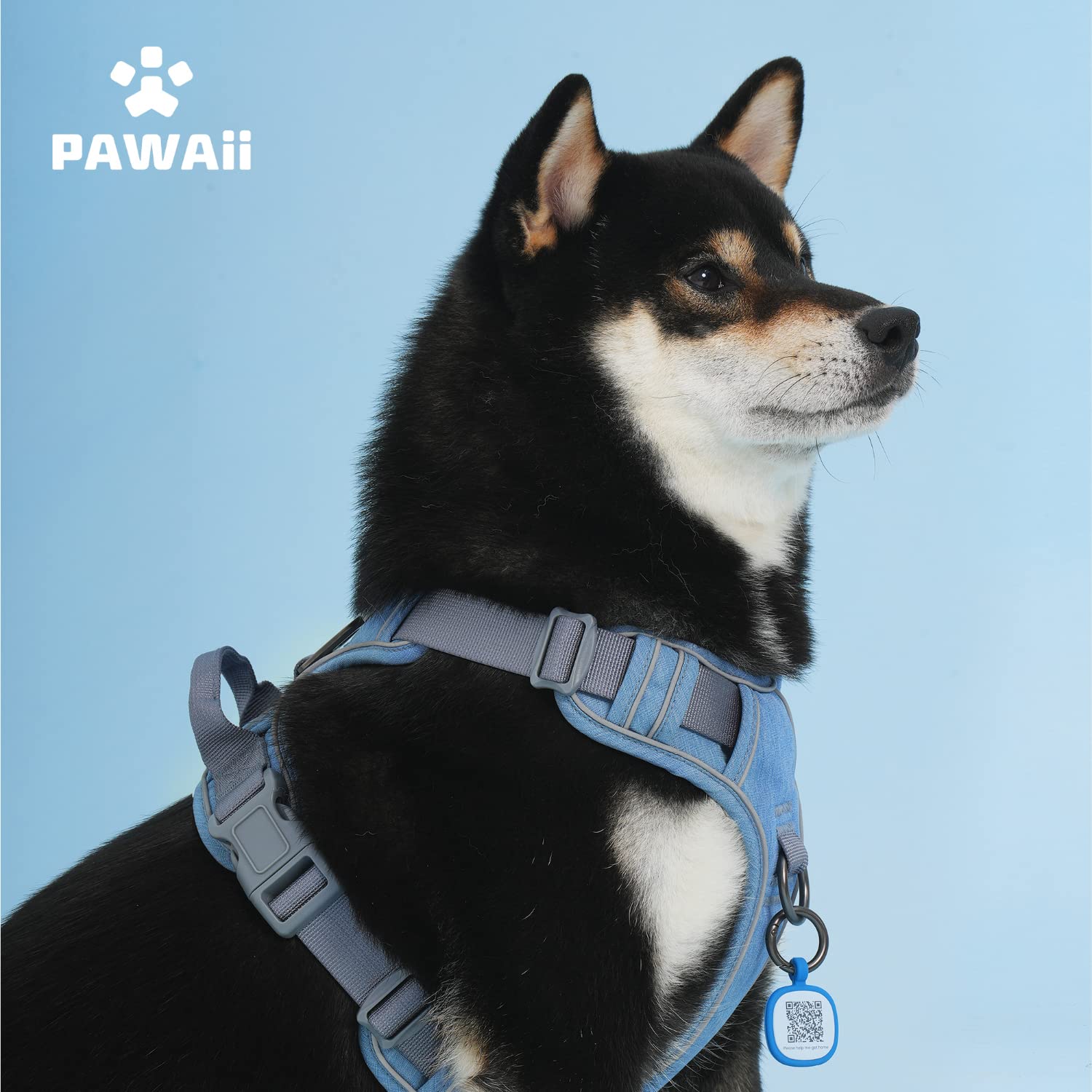 Boucles durables Pawaii: sécurité et durabilité.