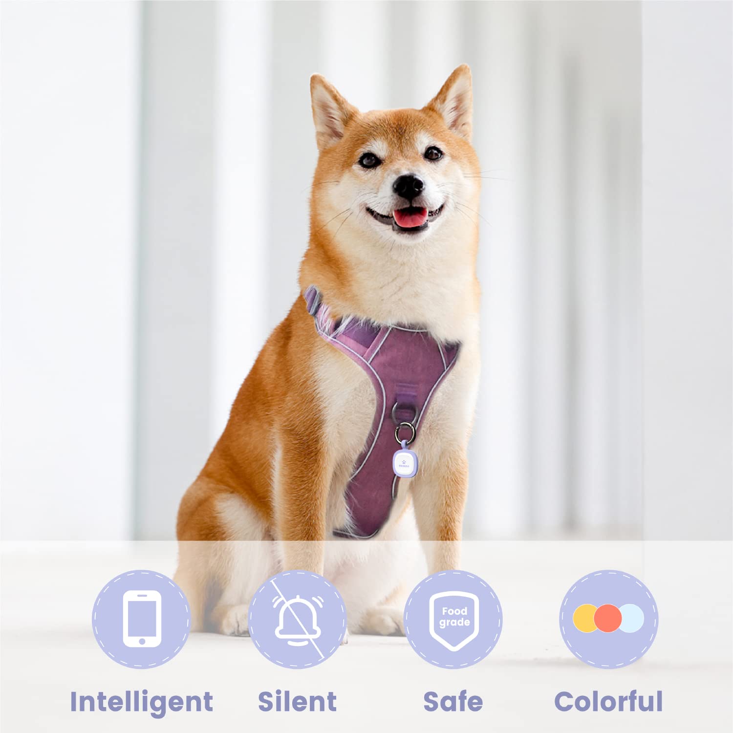 Pawaii: informations propriétaires modifiables sur le tag chien.