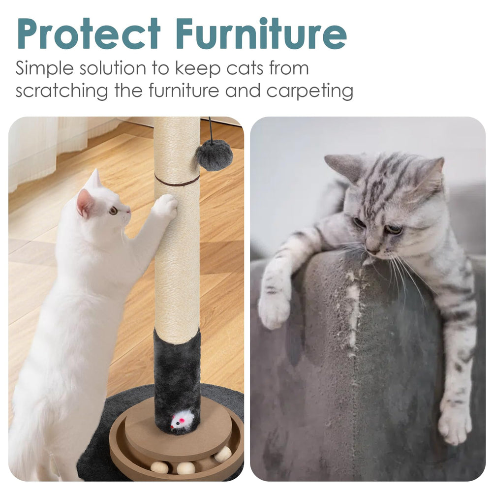 Pawalaya boules mouvantes: distractions interactives qui captivent le chat