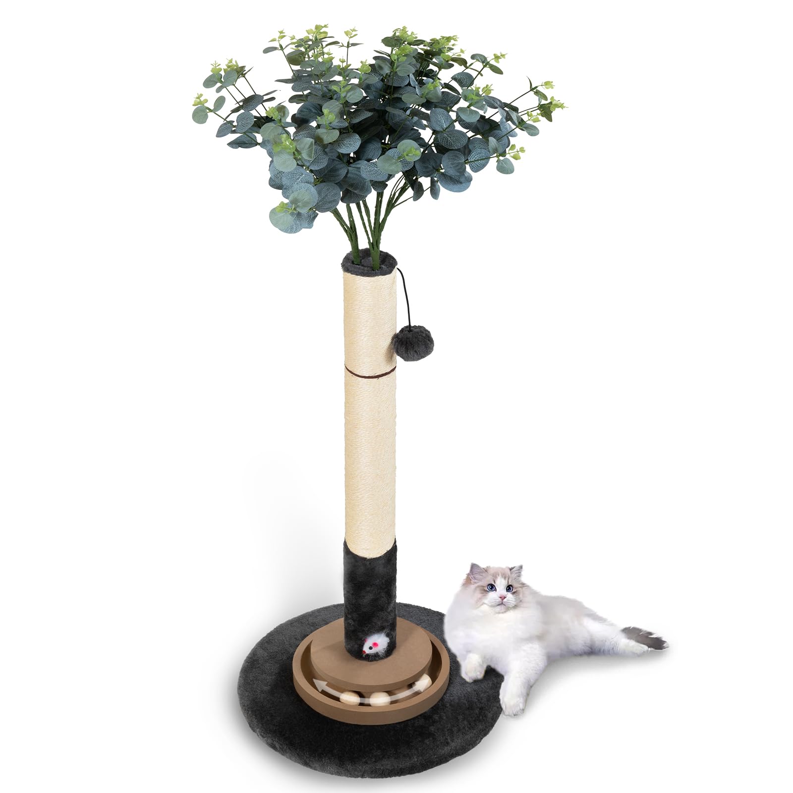 Pawalaya espace jeu interieur chat adulte: idéal pour chats adultes et chatons