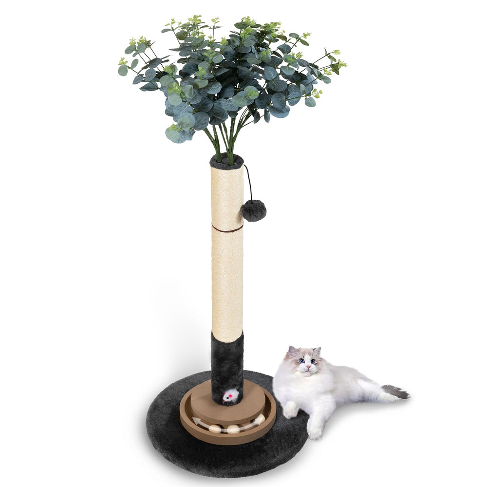 Pawalaya espace jeu interieur chat adulte: idéal pour chats adultes et chatons
