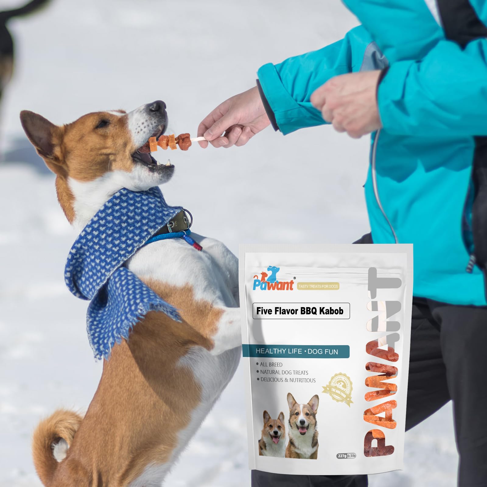 Pawant brochettes entraînement, récompense motivante pour obéissance canine.