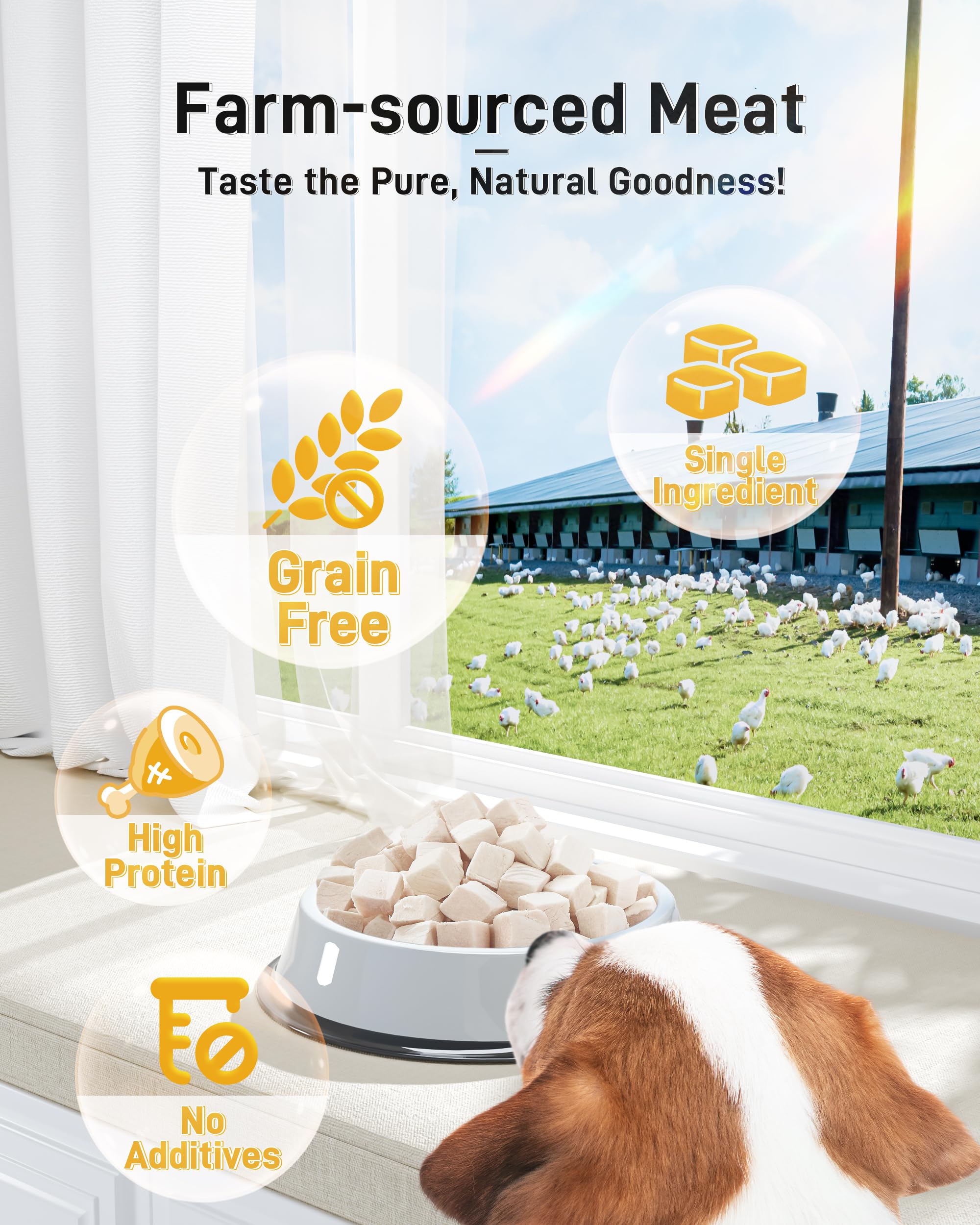 Dressage et friandises quotidiennes avec Pawaura poulet croquant.
