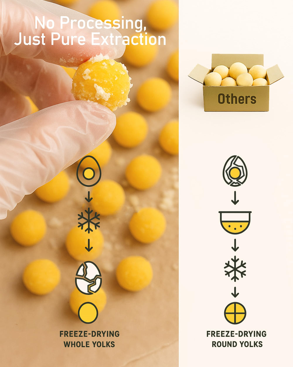 Pawaura gros plan œuf perdrix jaune, morceaux nets et appétissants