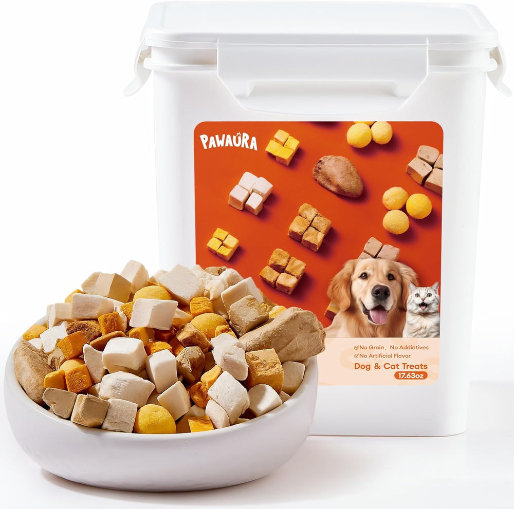 Friandises lyophilisées Pawaura dans une boîte scellée, idéale pour l'entraînement.