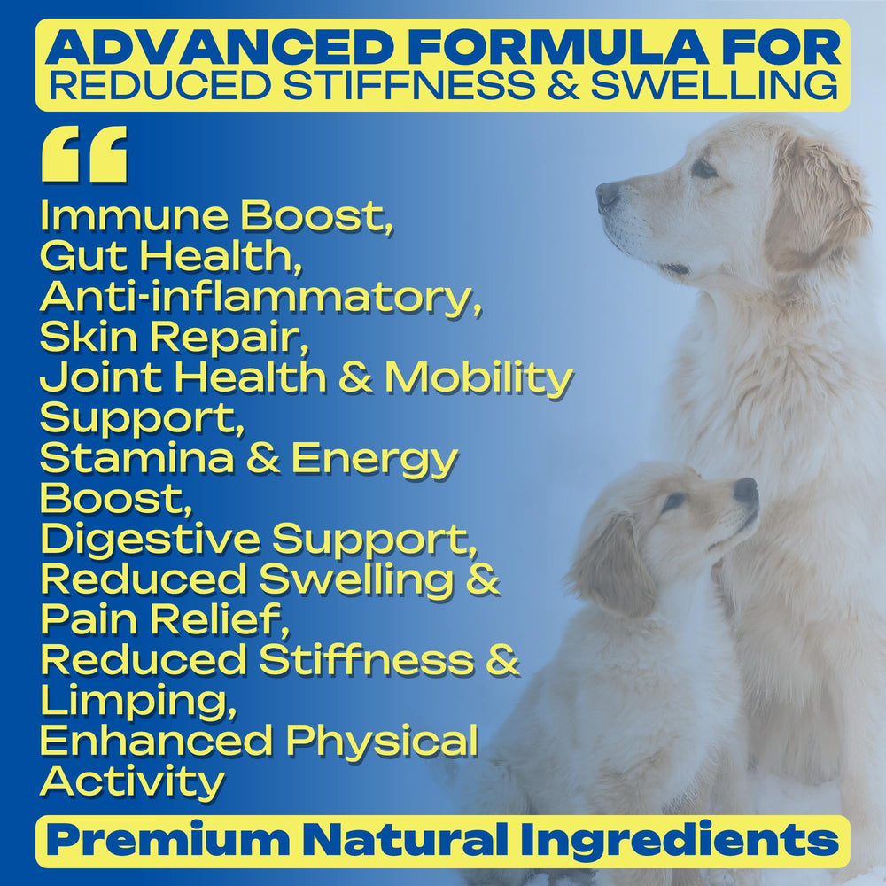 Ingrédients Pau D’Arco et Ginger dans PawBliss, formulation naturelle pour le bien-être.