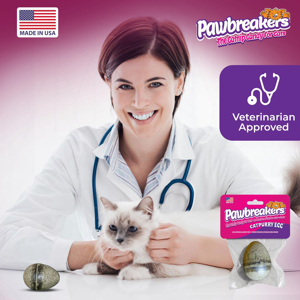 Pawbreakers Catpurry Egg – arôme de catnip frais pour stimulation
