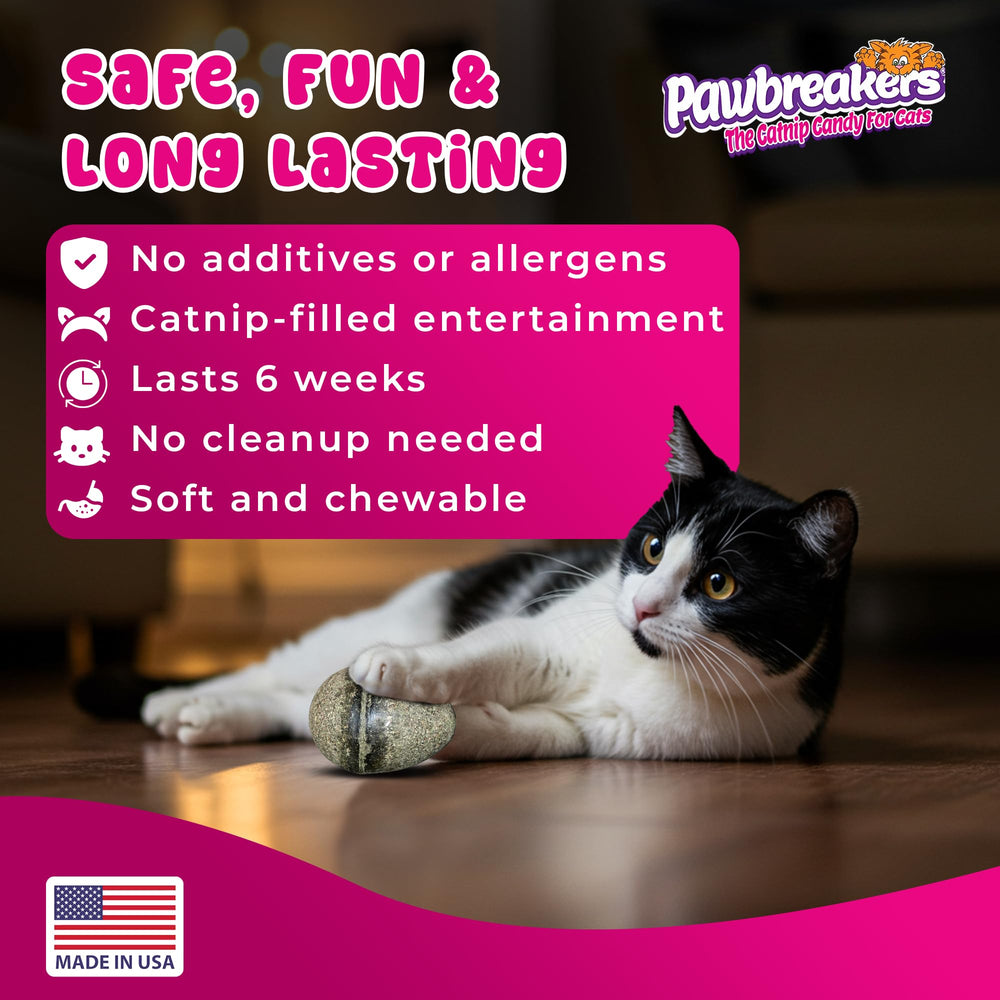 Pawbreakers Catpurry Egg – digeste et sûr pour les chats