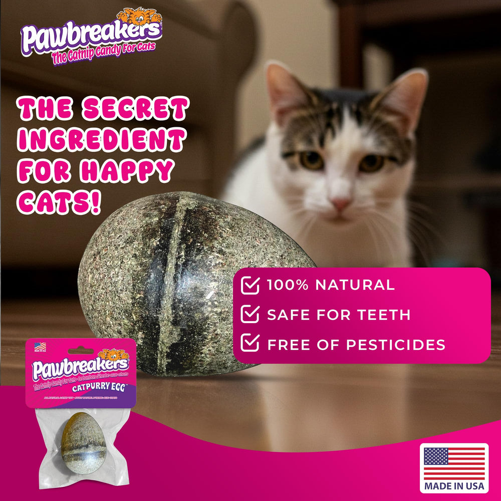 Pawbreakers Catpurry Egg – jouet interactif stimulant pour chats