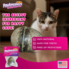 Pawbreakers Catpurry Egg – jouet interactif stimulant pour chats