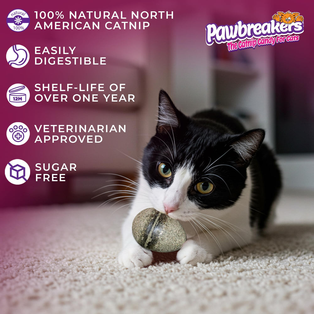 Pawbreakers Catpurry Egg – mastication douce et agréable