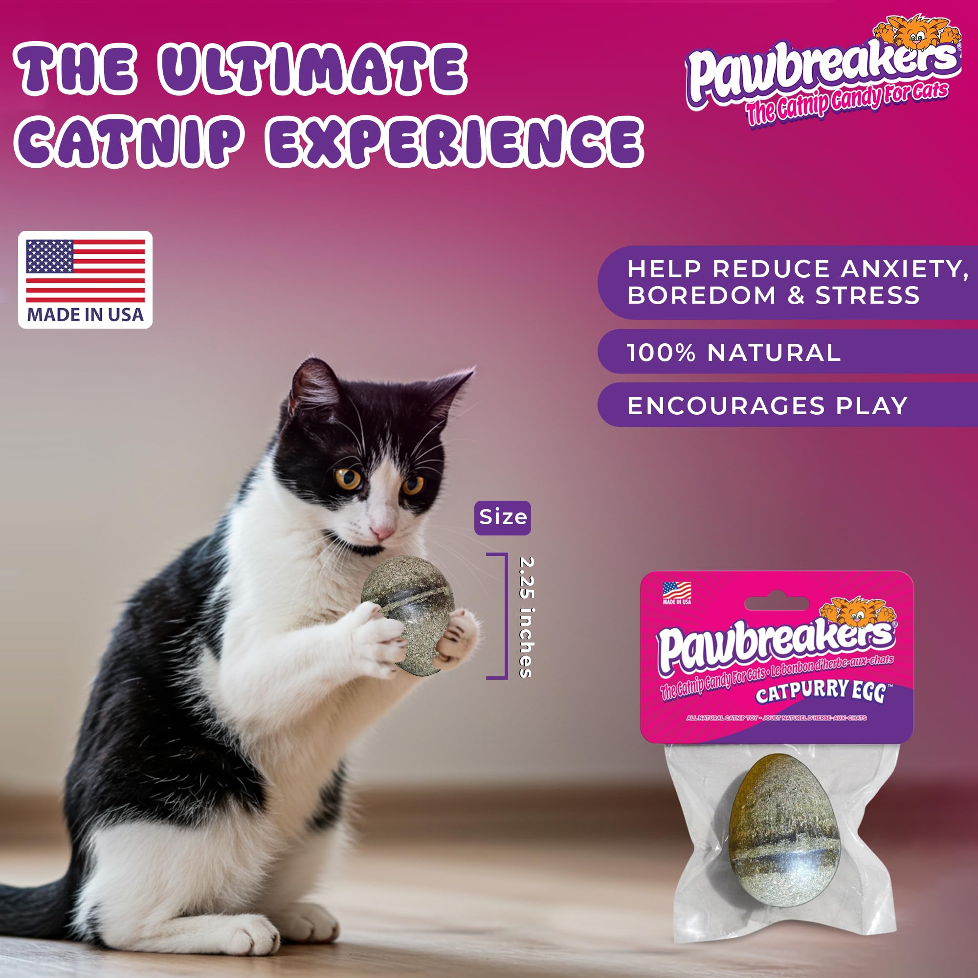 Pawbreakers Catpurry Egg – jeu propre et durable pour plusieurs semaines