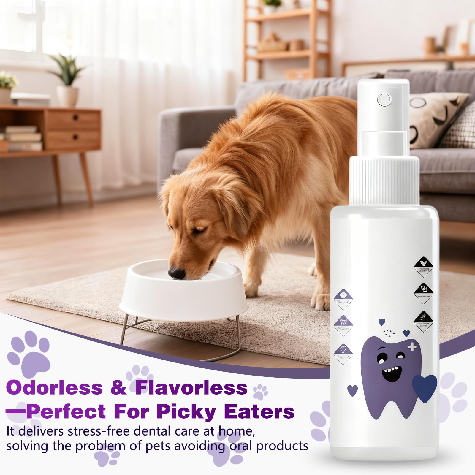 PawBright Dental Plus – gencives saines, soutien pour la bouche.
