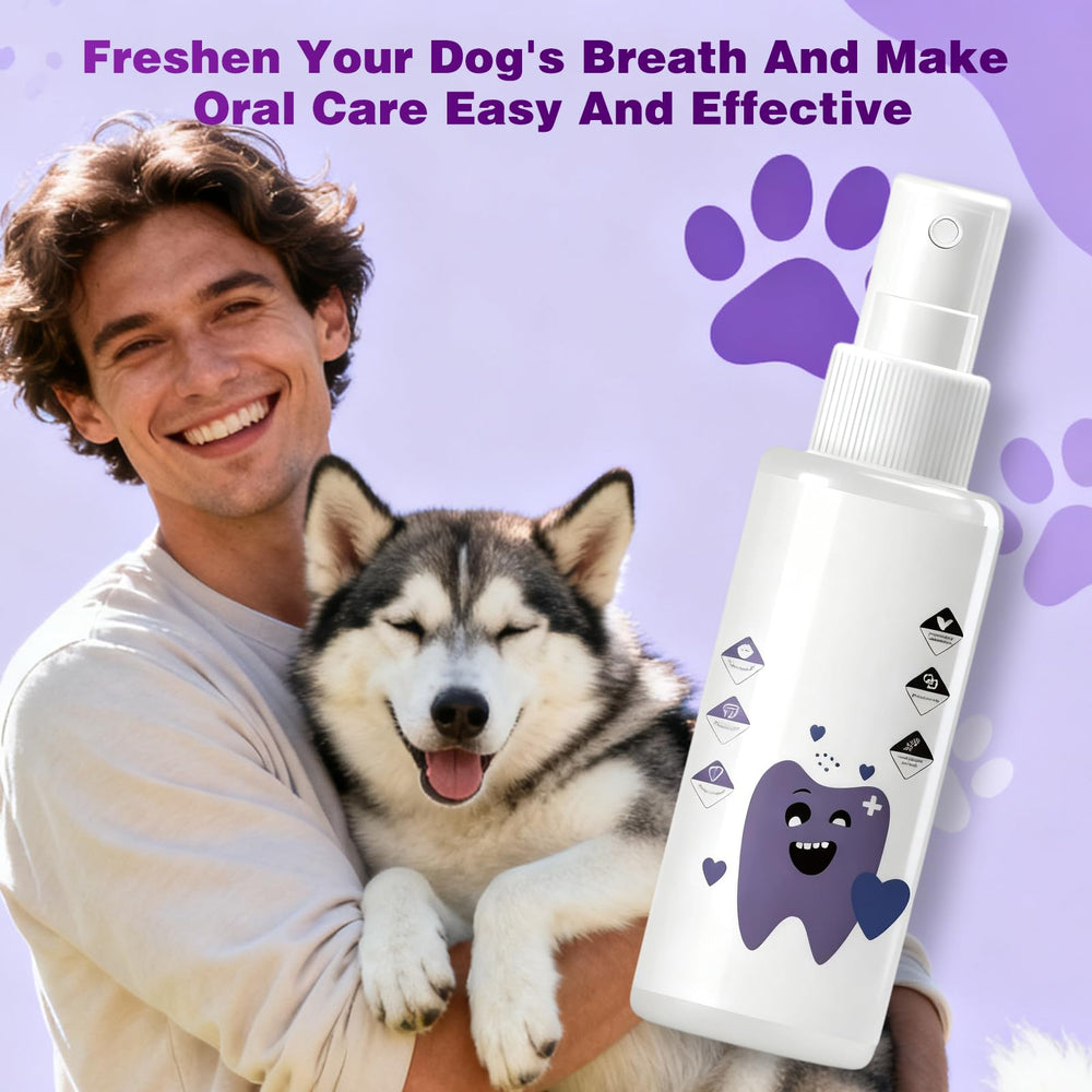 PawBright Dental Plus – ingrédients naturels, formule douce pour chiens.