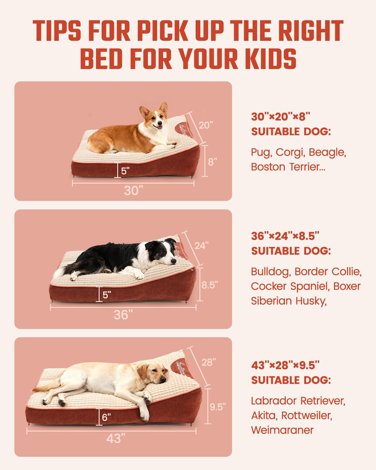 Pawccoli-lit-orthopedique-chat-plat: idéal pour chats sensibles et repos calme.
