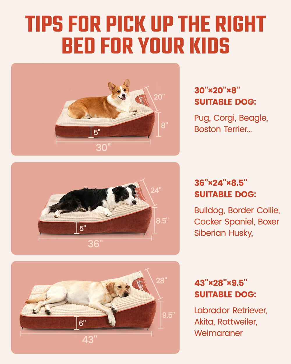 Pawccoli-lit-orthopedique-chat-plat: idéal pour chats sensibles et repos calme.