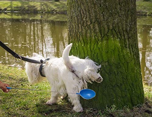 Bac de collecte inclus avec PawCheck P-Scoop pour transfert vers le tube.