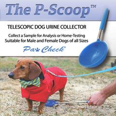 PawCheck P-Scoop utilisé pour collecte d’urine chez un chien.