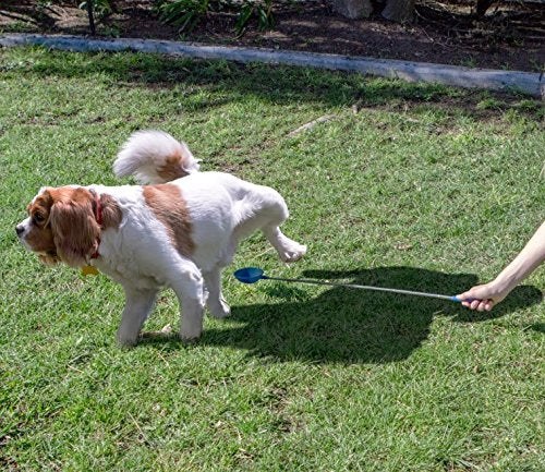Dispositif PawCheck P-Scoop sans pipette, nettoyage facile et réutilisable.