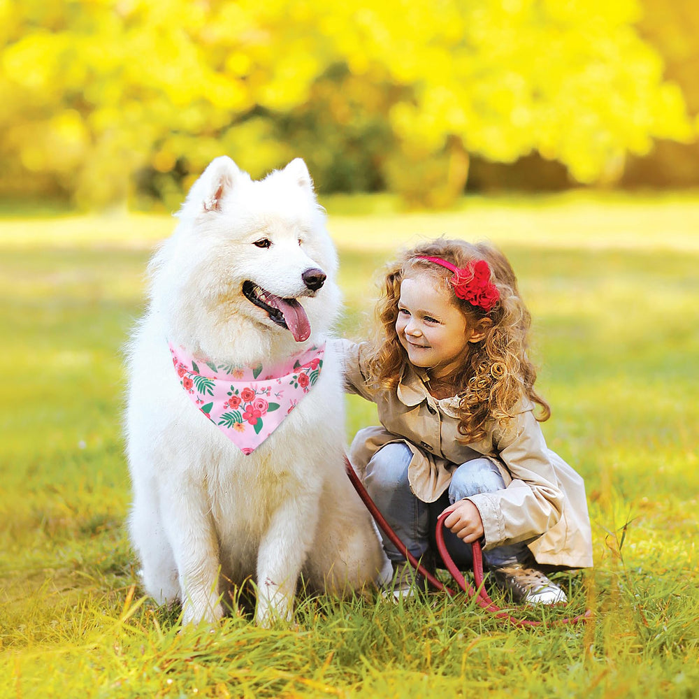 PAWCHIE bandana petit chien bleu, double imprimé, parfait pour les balades quotidiennes.