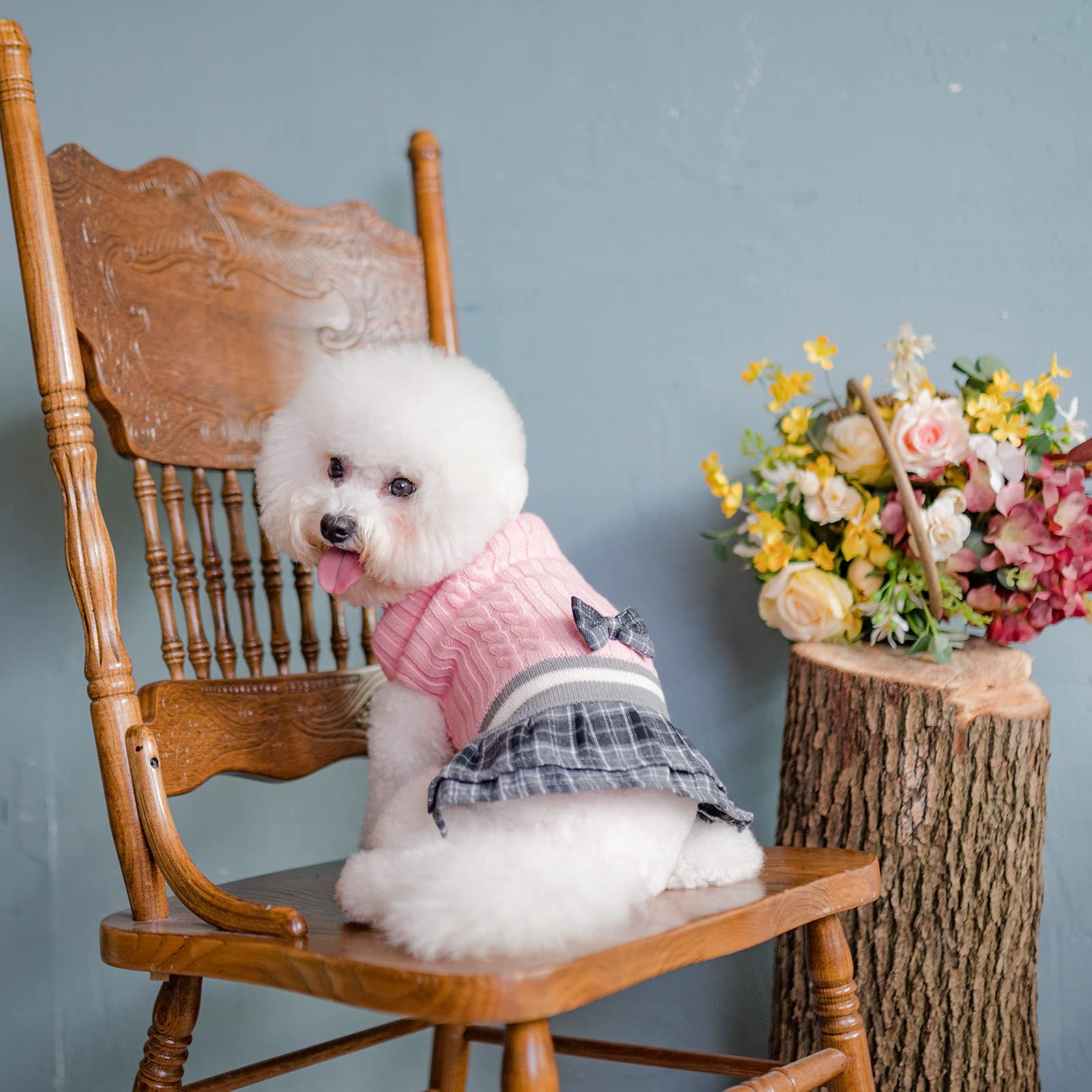 PAWCHIE tricot doux chien col roulé, chaleur agréable lors des promenades.
