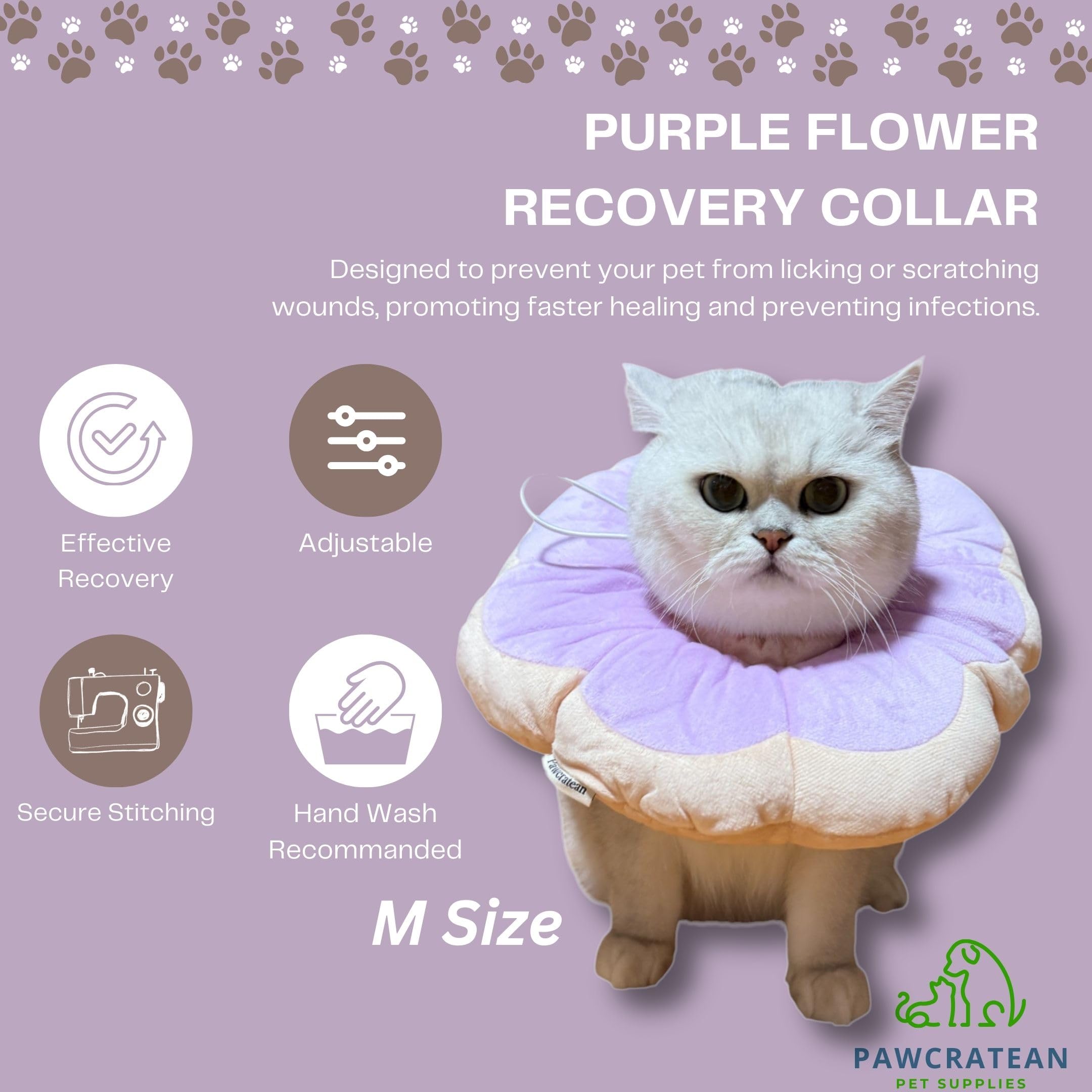 Pawcratean collier Elizabeth fleur entretien: nettoyage rapide pour maintenir l’hygiène pendant la convalescence.