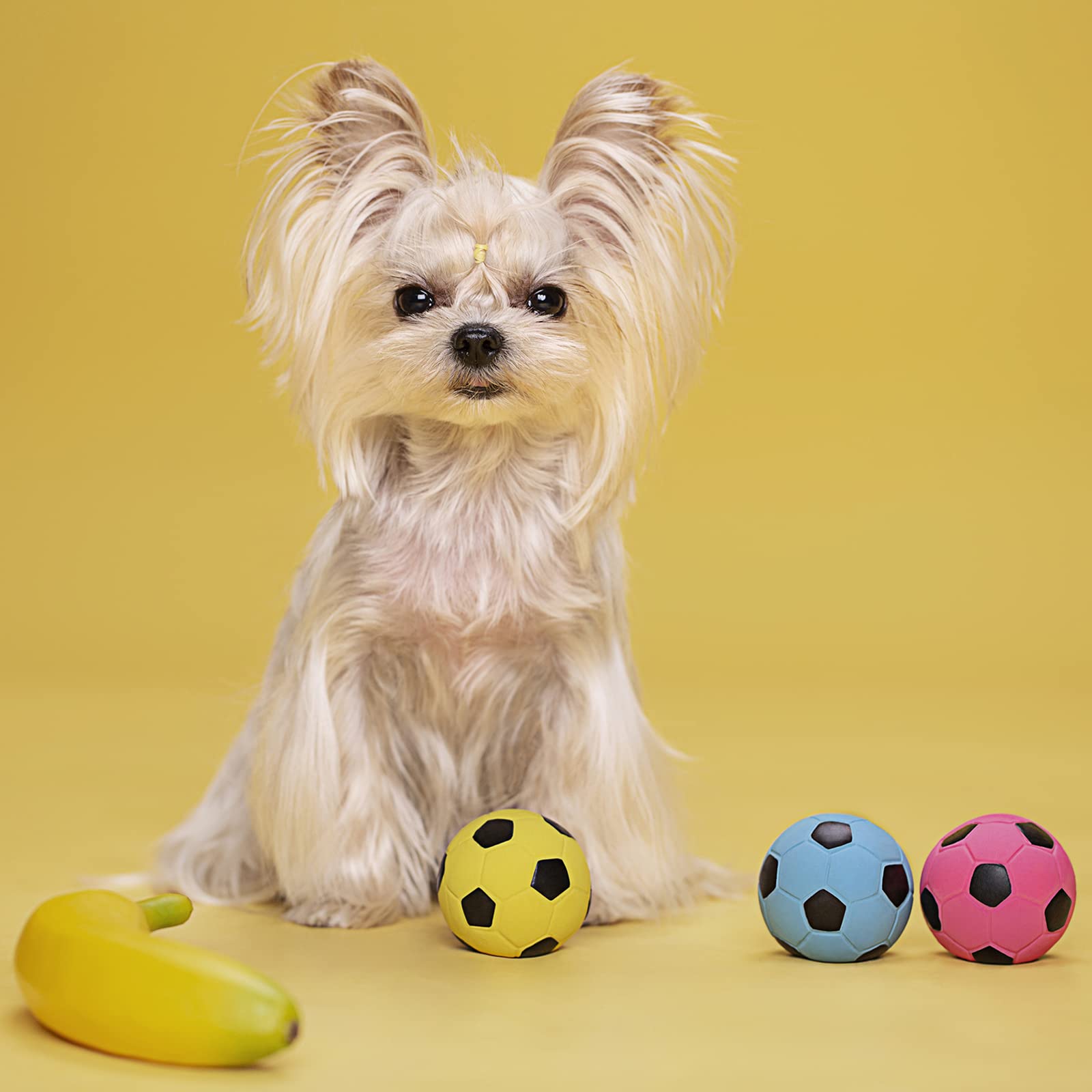 Balle Pawdoer légère et pratique à emporter en parc