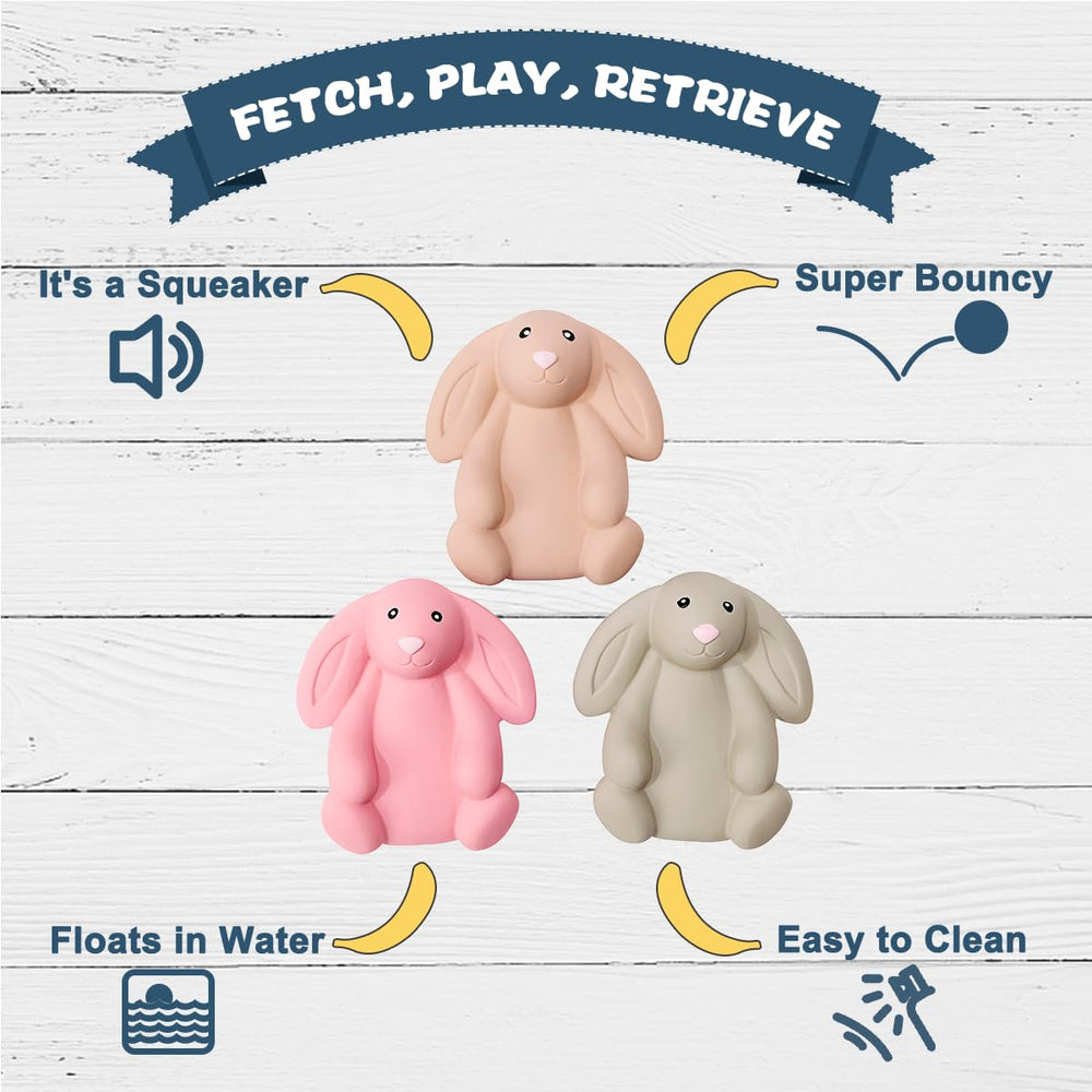 Pawdoer lapin siffleur vert, rebond imprévisible et jeu actif.