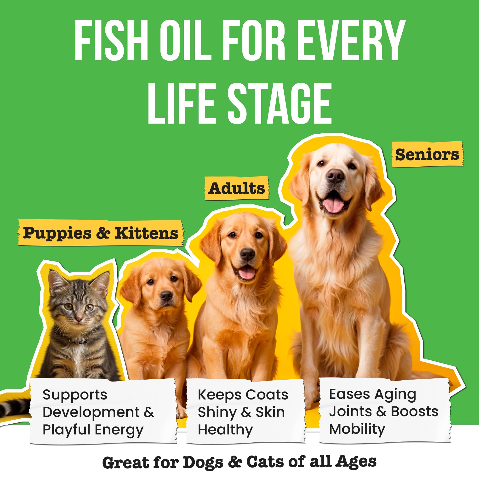Pawsential huile poisson chien haute qualite - huile riche et pure