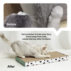 PAWSFANS gros plan sur le grattoir en carton robuste pour griffer.
