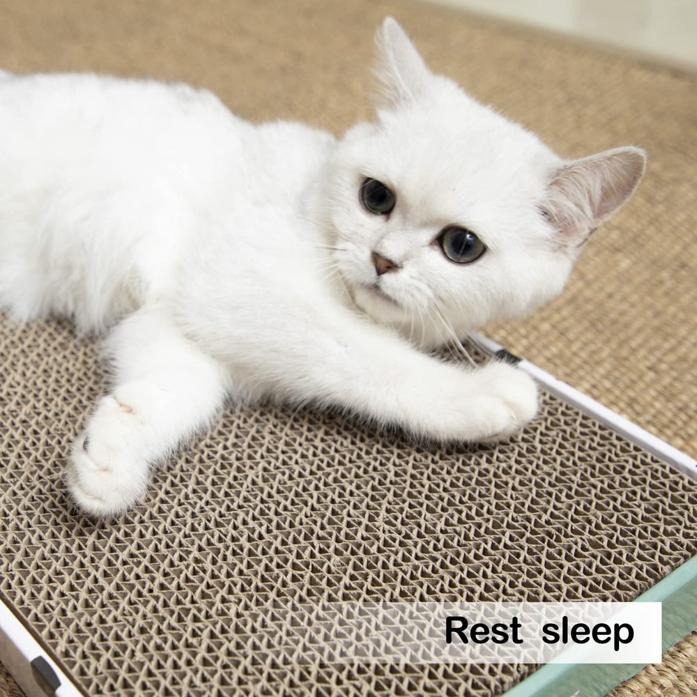 Lot de 5 pièces réversibles PAWSFANS, solution économique et pratique.