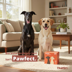 Pawfect: sac crottes grande capacité 13x9, pour tous les chiens.
