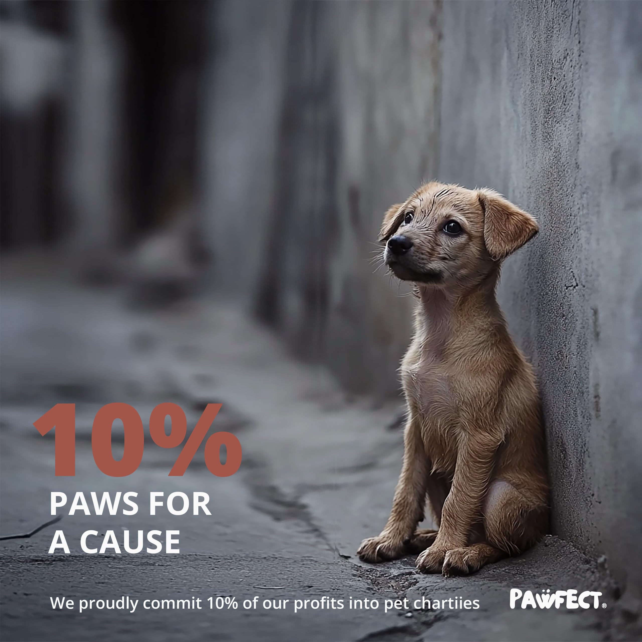 Pawfect: sacs crottes soutien des causes animales avec vos achats.