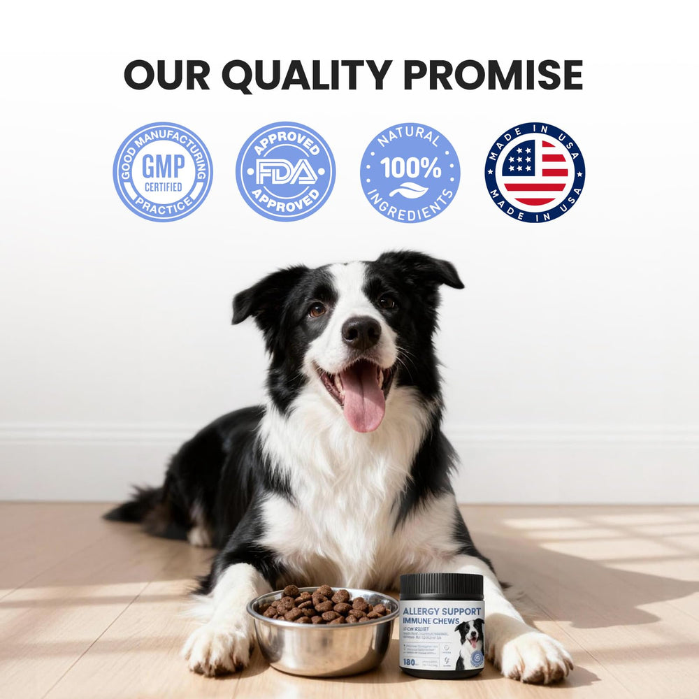 Pawfect Vita peau et pelage hydratation: texture agréable et douceur.