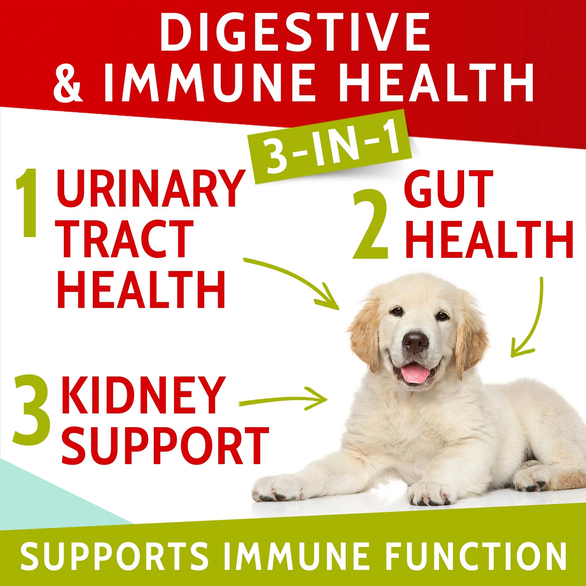 PAWFECTCHEW probiotiques-chien-sante-pelouse, soutiennent le bien‑être et la vigueur du gazon.