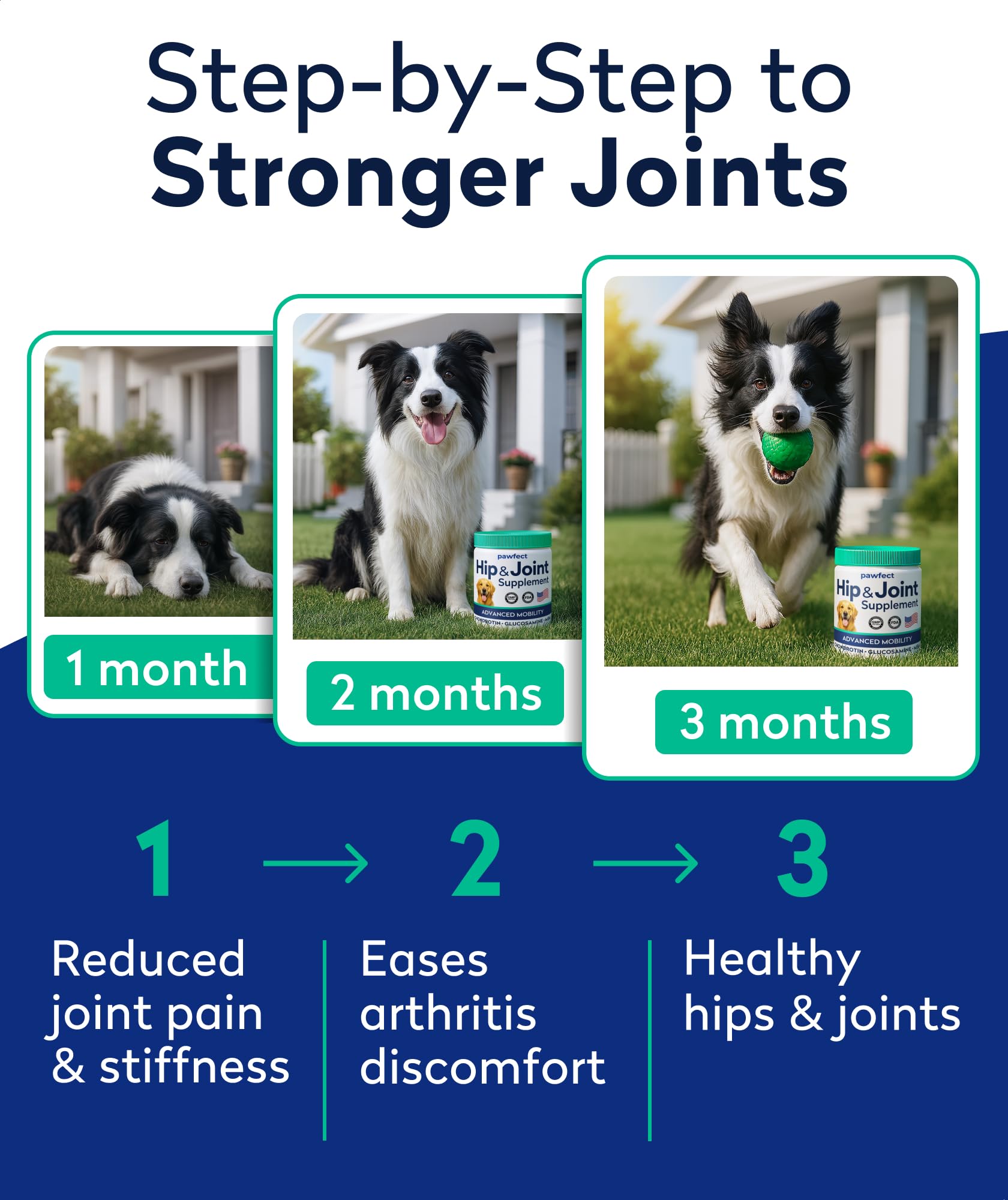PAWFECTCHEW soutien des hanches et articulations pour chiens.