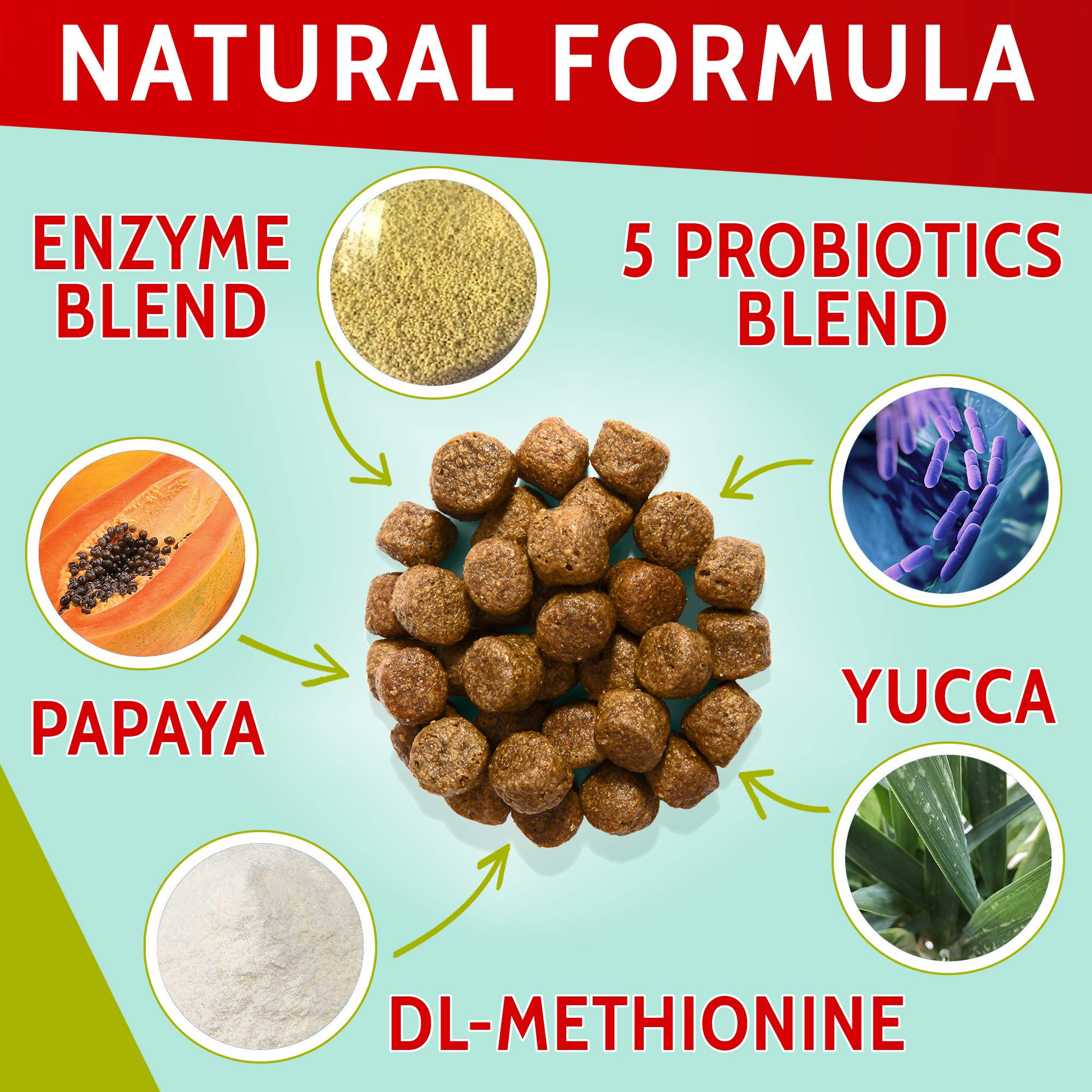 PAWFECTCHEW usage-chien: friandises faciles à donner à tout chien.