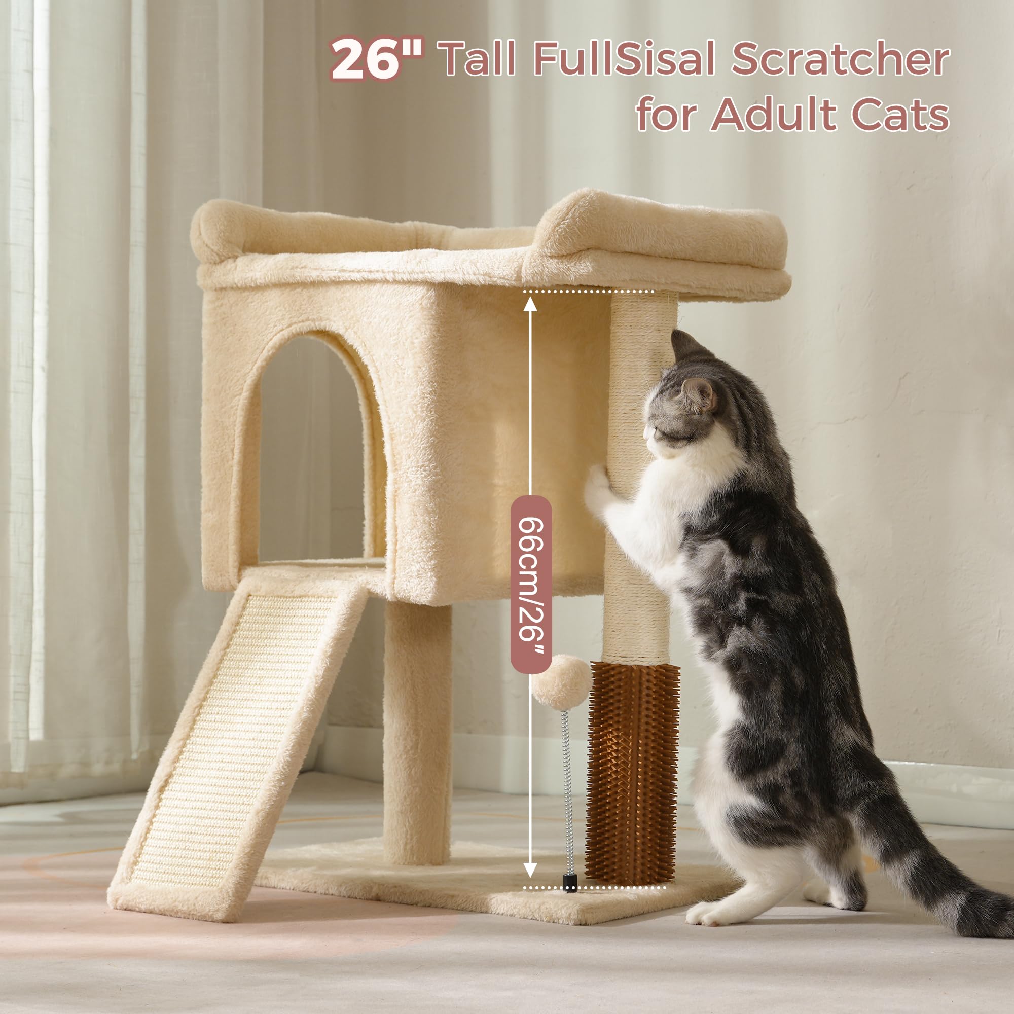 Pawfessor arbre chat assemble rapide avec outils inclus