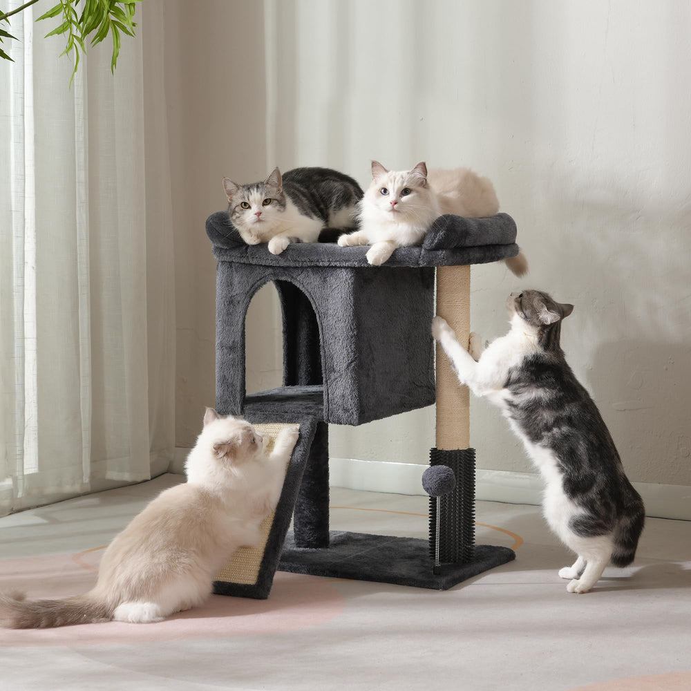 Pawfessor arbre-chat assemblage rapide: montage simple en quelques minutes.