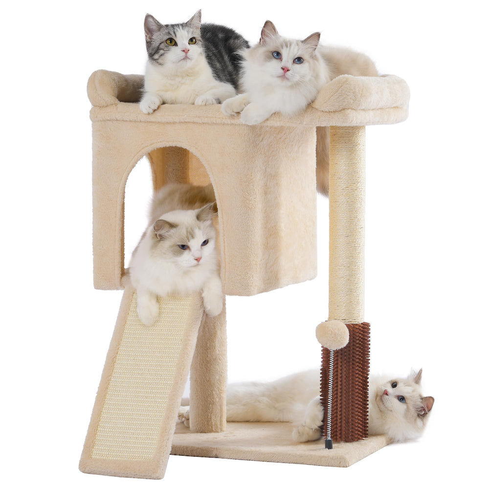 Pawfessor petit arbre chat lit haut, repos en hauteur et confort luxueux
