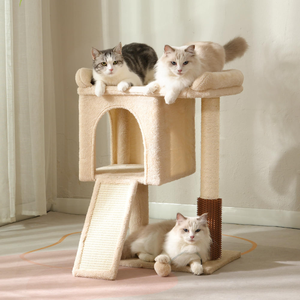Pawfessor arbre chat plateau soin pelage intégré pour pelage soyeux