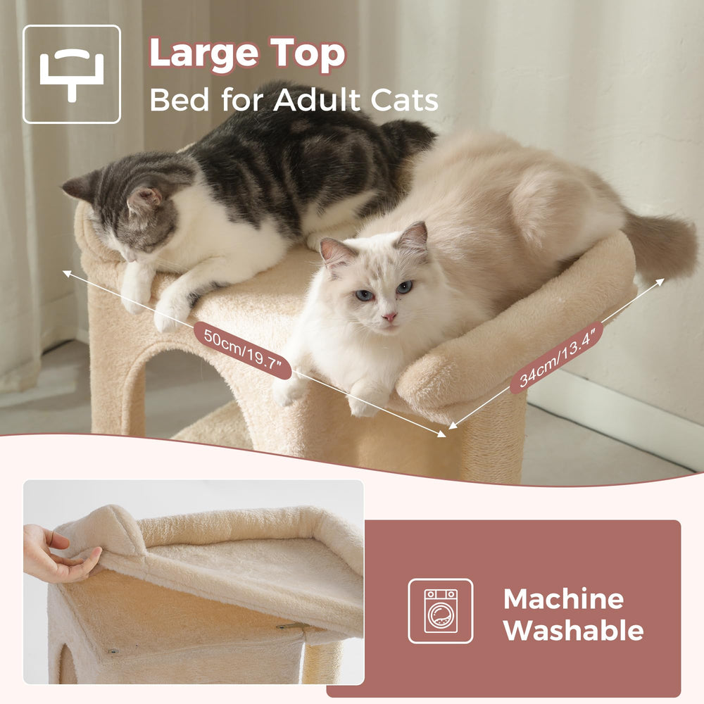 Pawfessor arbre chat rampe access facilite les deplacements vers le perchoir