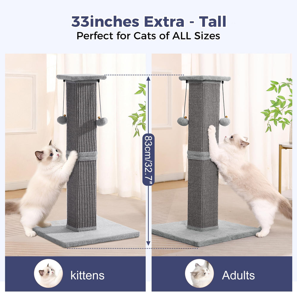 Pawfessor planche pelucheuse, zone d'observation douce et confortable.