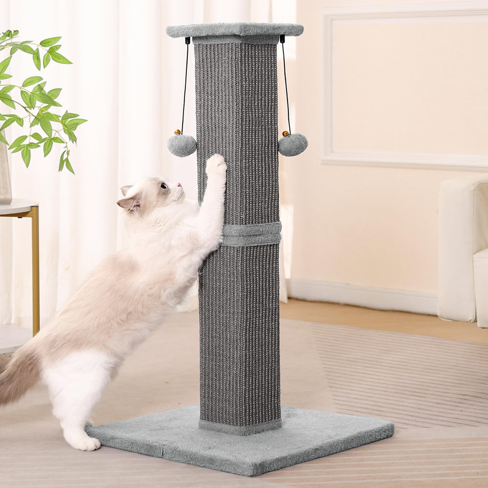 Pawfessor tour design neutre qui s'intègre à tout décor intérieur.