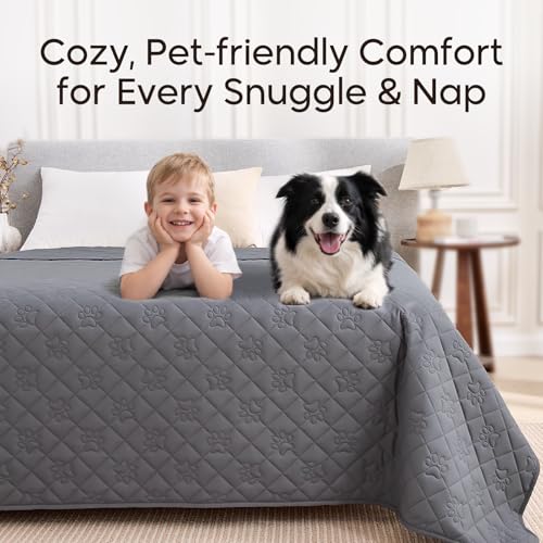 PAWFINITY bordures renforcées assurent durabilité lors du saut et grattage.