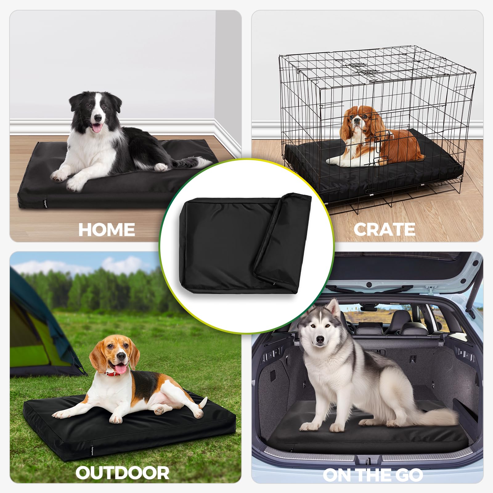 PAWFINITY conception résistante aux morsures pour chiens actifs