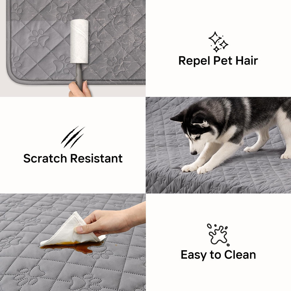 PAWFINITY couverture repos douce pour chiens dans le salon gris.